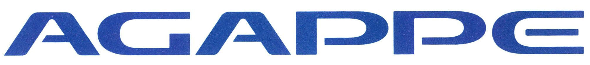 Company 5
